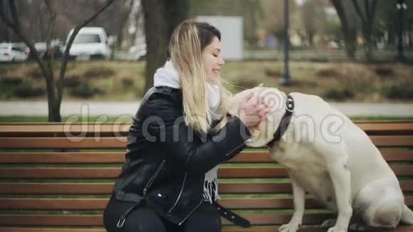 有魅力的女人坐在长凳上和猎犬拉布拉多快乐狗坐在一起在城市公园打电话视频的预览图