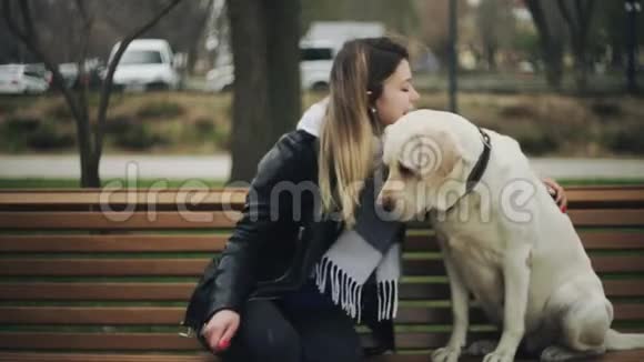 有魅力的女人坐在城市公园的长凳上坐着一只猎犬拉布拉多喜犬视频的预览图