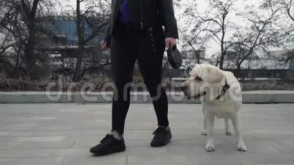 在城市公园里一个面目全非的女人带着一只猎犬走着视频的预览图