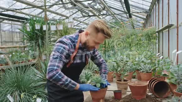 在一个工业花房里园丁集中精力工作他把一朵装饰花种在他戴的花盆里视频的预览图