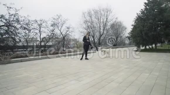 带着黑色面具的女人在公园里带着她的拉布拉多犬在检疫冠状病毒COVID19大流行期间散步视频的预览图