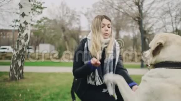 在公园玩拉布拉多猎犬的年轻女子视频的预览图