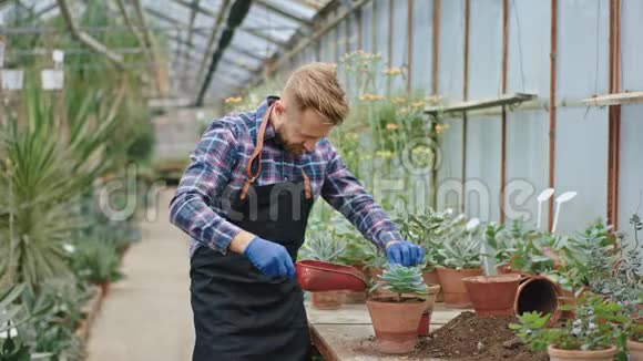 一位颇有魅力的年轻花店老板在花房里工作他把一个计划非常小心集中地栽进一个花盆里视频的预览图