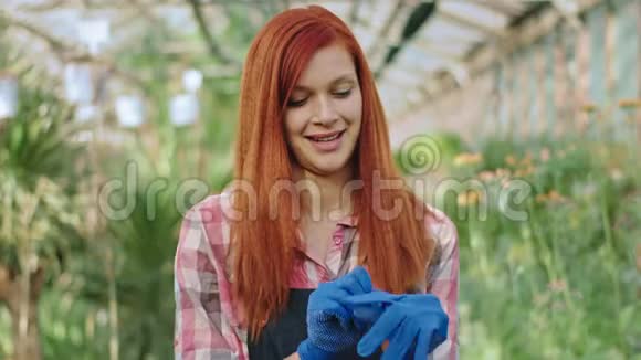 微笑着美丽的园丁女人戴着她的蓝色手套开始照顾她的装饰植物视频的预览图