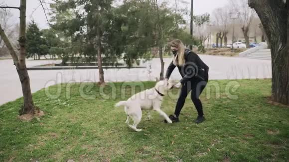 带着黑色面具的漂亮女人在公园里玩她的拉布拉多犬在检疫冠状病毒COVID19期间视频的预览图