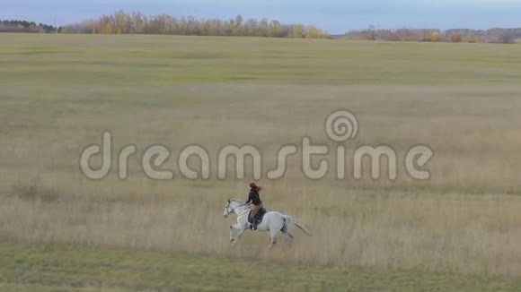 一个年轻的红发女人骑着一匹白马驰过田野视频的预览图