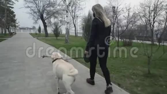 在隔离冠状病毒COVID19期间带着黑色面具的妇女与她的拉布拉多犬在公园散步视频的预览图