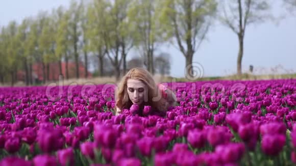 女孩捧着一束五颜六色的郁金香花站在紫色的郁金香田野上视频的预览图