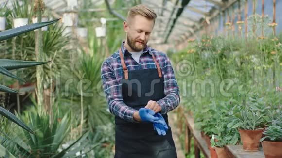 年一位魅力四射面带微笑的大个子园丁在花房里戴着他的蓝色手套准备开始工作视频的预览图