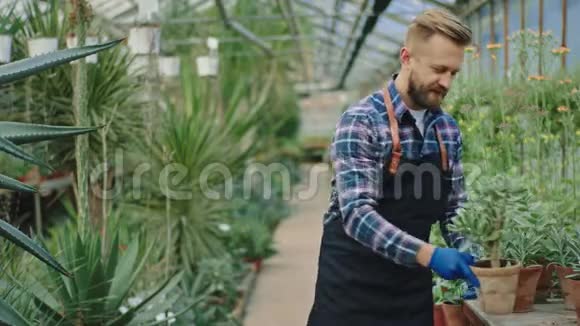 设备园丁带着大大的微笑带着一株美丽的绿色装饰植物在一个旧罐子里直视着视频的预览图
