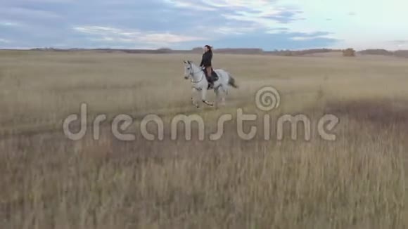 年轻快乐的女人骑着白马在路上视频的预览图