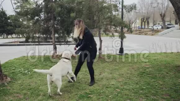 在城市公园和拉布拉多犬玩耍视频的预览图