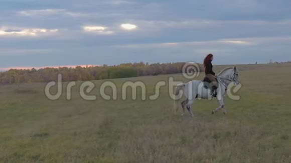 日落时分一个年轻迷人的女人骑着一匹白马穿过田野视频的预览图