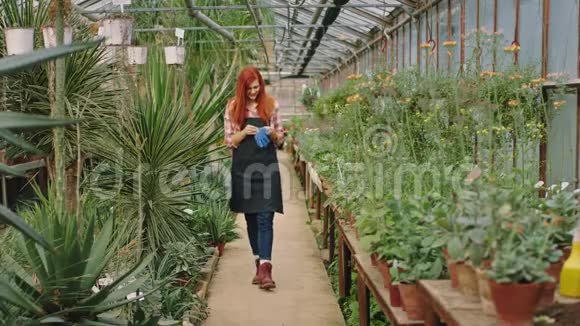 漂亮的花匠女士在穿过花棚时准备开始检查她穿的植物视频的预览图