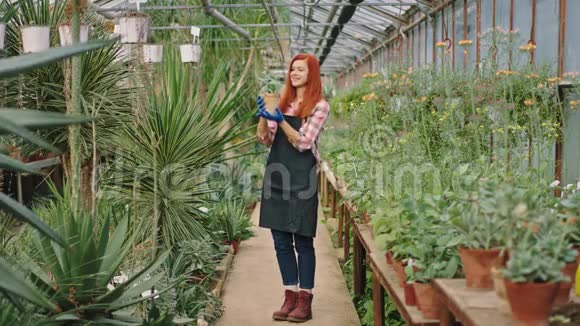 在一个有装饰植物的大花棚里园丁的女人细心地照顾和检查一个人的状况视频的预览图