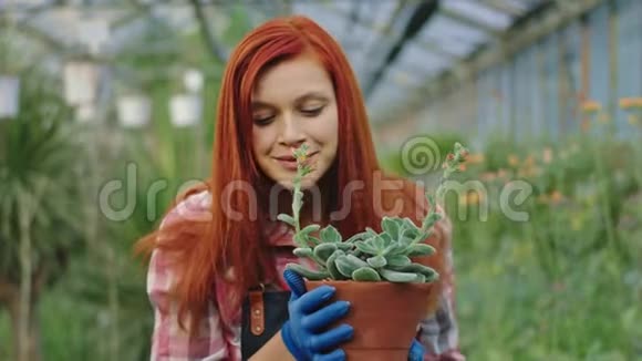 女园丁在一个大花棚里她拿着一棵植物拿着花盆在前面用爱的味道闻着这朵花视频的预览图