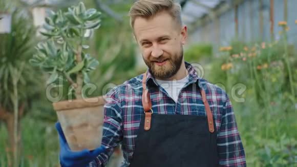 特写镜头魅力四射的微笑大个子园丁在他的花棚里采了一株装饰植物视频的预览图