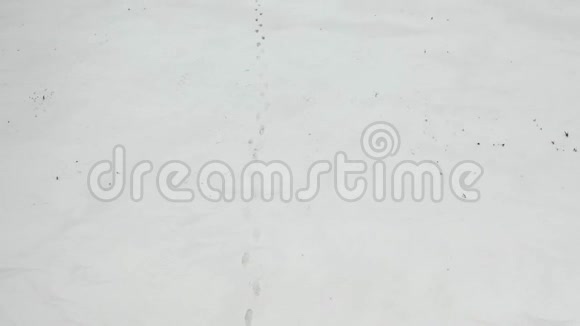 穿着沉重背包在阿拉斯加雪地漫步的人视频的预览图