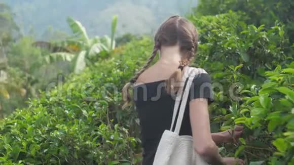 苗条的女士沿着绿色高地茶园散步视频的预览图