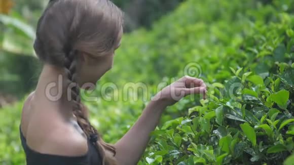 美丽微笑的女士用手指抚摸着绿茶视频的预览图