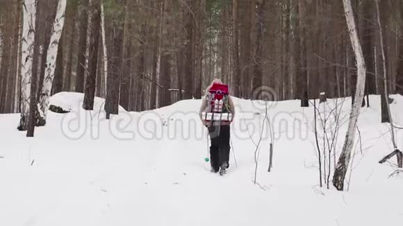 女徒步旅行者背着背包在冬季徒步行走背面视频的预览图