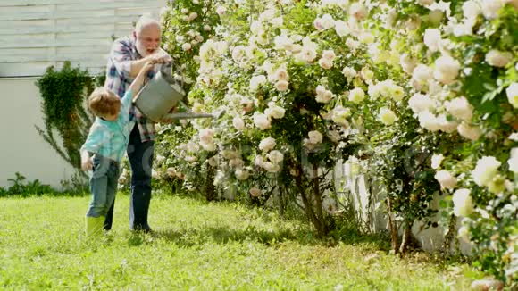 祖父和孙子在花圃工作孙子和爷爷种植生活方式和家庭生活视频的预览图