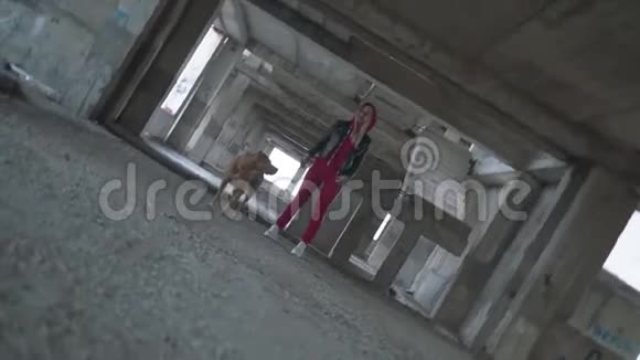 一个年轻的金发女郎带着一只狗品种的美国斯塔福德郡猎犬站在一座废弃的建筑里女孩抱着狗视频的预览图