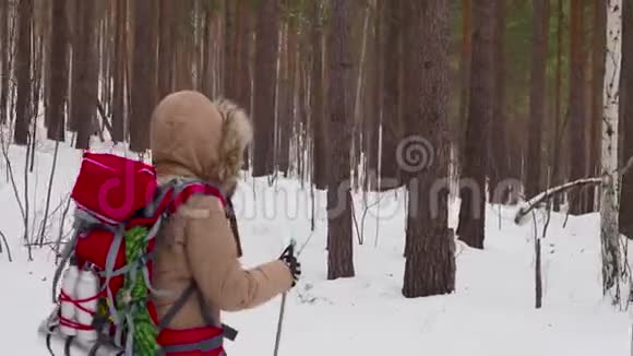 女徒步旅行者背着背包在冬天的森林里散步视频的预览图