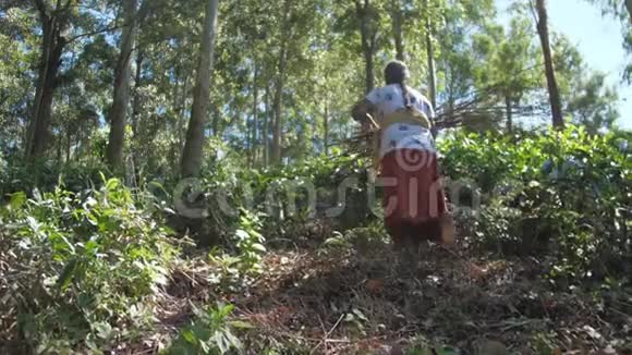 穿着传统衣服的女人在树间慢动作视频的预览图