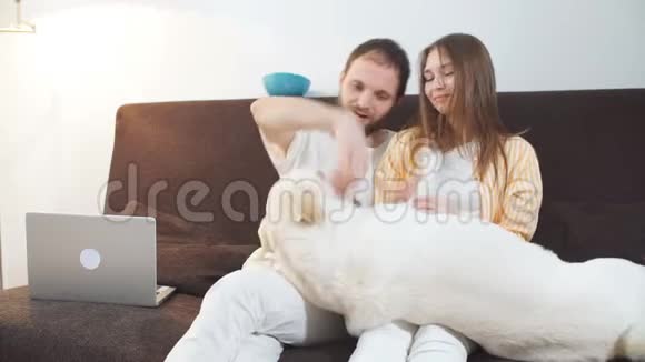 可爱的白种人夫妇和他们的宠物白狗坐在沙发上视频的预览图