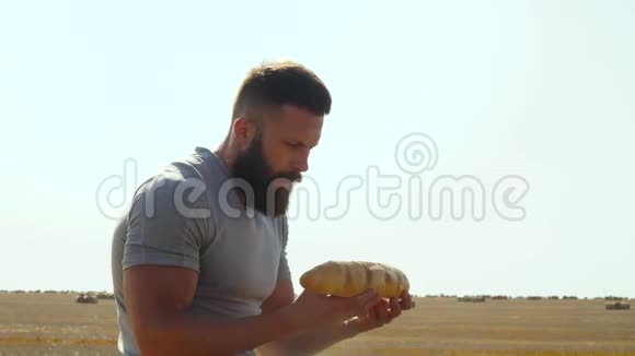 人们用香包亲吻麦田上的面包收获面包视频的预览图
