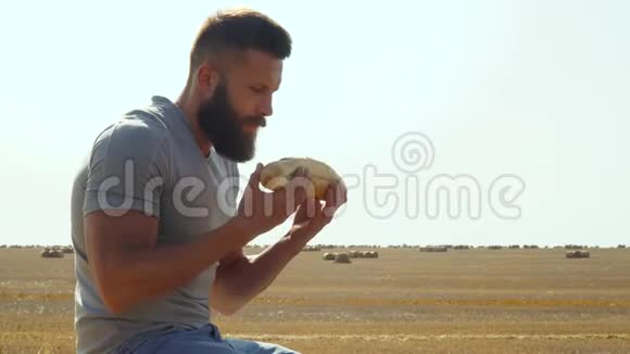 人们用香包亲吻麦田上的面包收获面包视频的预览图