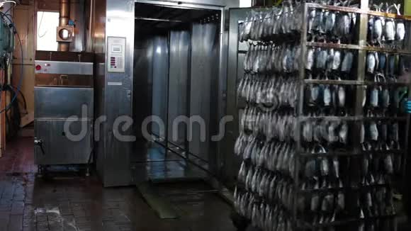 在鱼苗上吸食鲭鱼鱼类加工厂热烟鱼鱼类加工厂海上食品制造视频的预览图