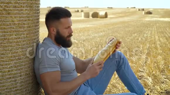 一个人拿着烤面包在麦地上烤着收获面包视频的预览图