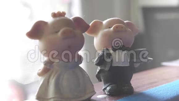 小猪新娘和小猪新郎墙前放着一束玫瑰视频的预览图