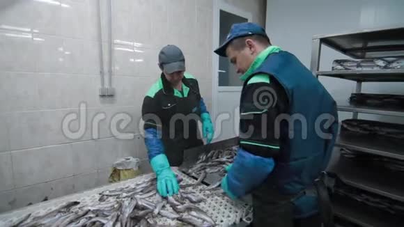 在现代鱼类工厂鱼被装上运输工具鱼场工厂清洗蓝色海鱼视频的预览图