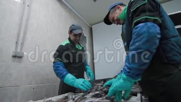 冷冻鱼正在被工厂的工作人员清洗运输机制是重新定位鱼类进行加工视频的预览图