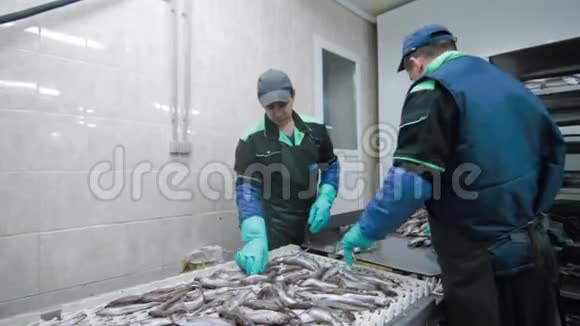 IcyFish正被安装在现代鱼厂的传送带上视频的预览图