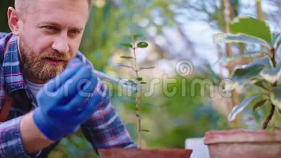 在一个农业温室里一位魅力非凡的园丁把一些维生素滴在装饰植物上视频的预览图