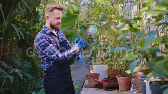 有魅力的园丁在一个大温室里非常小心地在一个锅里种了一种装饰植物他带了一些鞋底视频的预览图