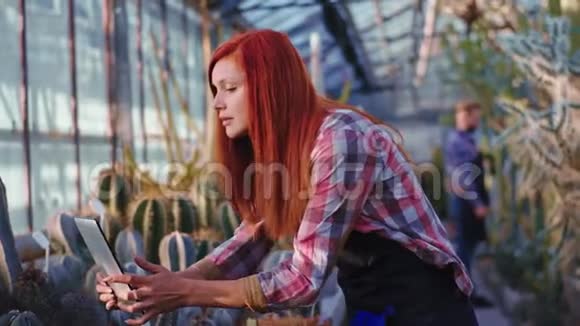 一位长着红头发的漂亮园丁女士在她的电子平板电脑里记下了植物的状况视频的预览图