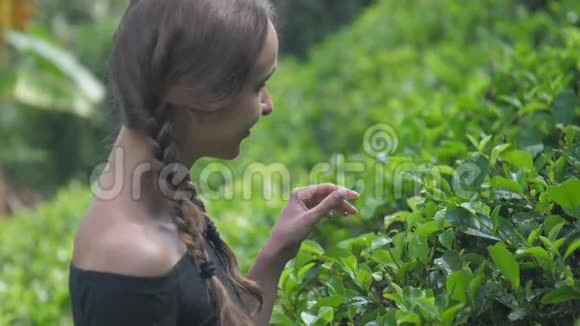 美丽微笑的女士用手指抚摸着绿茶视频的预览图