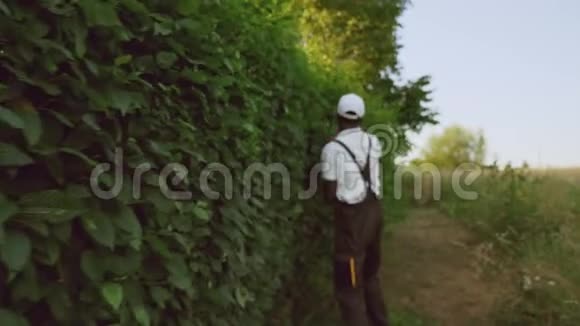 非裔美国人加格纳切割灌木视频的预览图