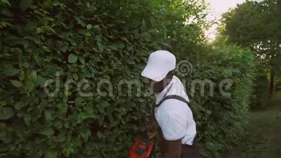非裔美国人加格纳切割树篱视频的预览图
