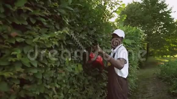 非洲裔加格纳修剪树篱视频的预览图