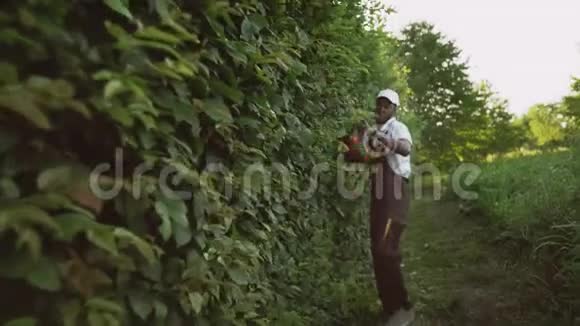 非裔美国人加格纳切割树篱视频的预览图