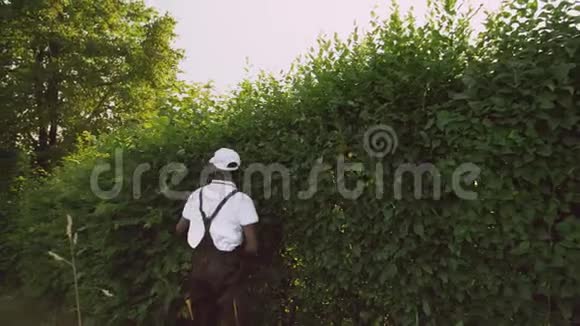 非洲裔加格纳修剪树篱视频的预览图