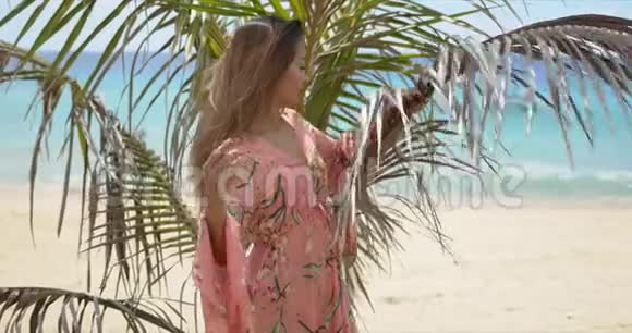 海滩上棕榈叶旁的时髦民族女士视频的预览图