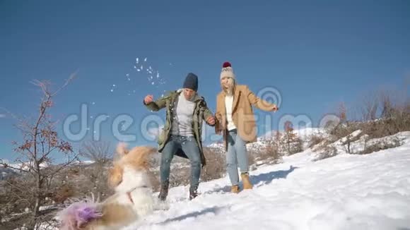 一对年轻漂亮的夫妇在雪山上和一只活跃的小狗玩耍视频的预览图
