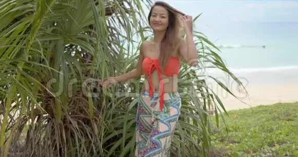 沙滩上触摸热带植物的时尚女士视频的预览图